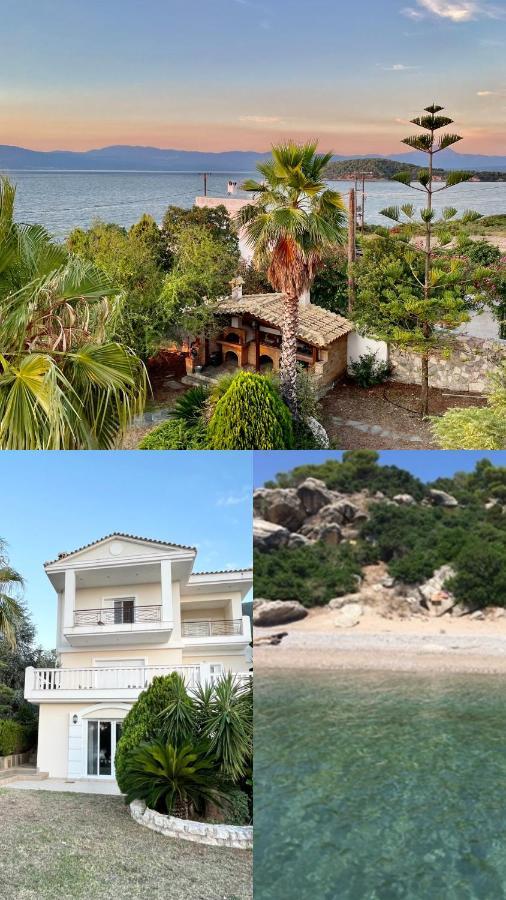 Villa Sul Mare Chalkís Exteriör bild